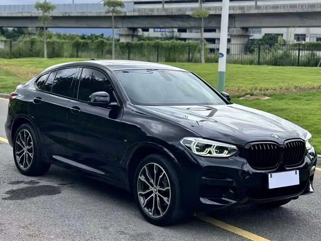 BMW X4 — миниатюра 3