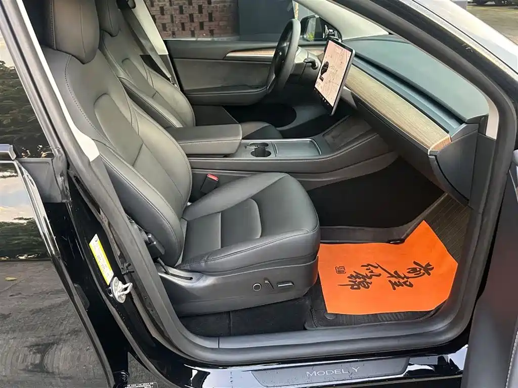 Tesla Model Y — миниатюра 13