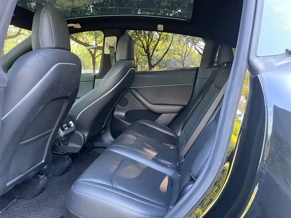 Tesla Model Y — миниатюра 5