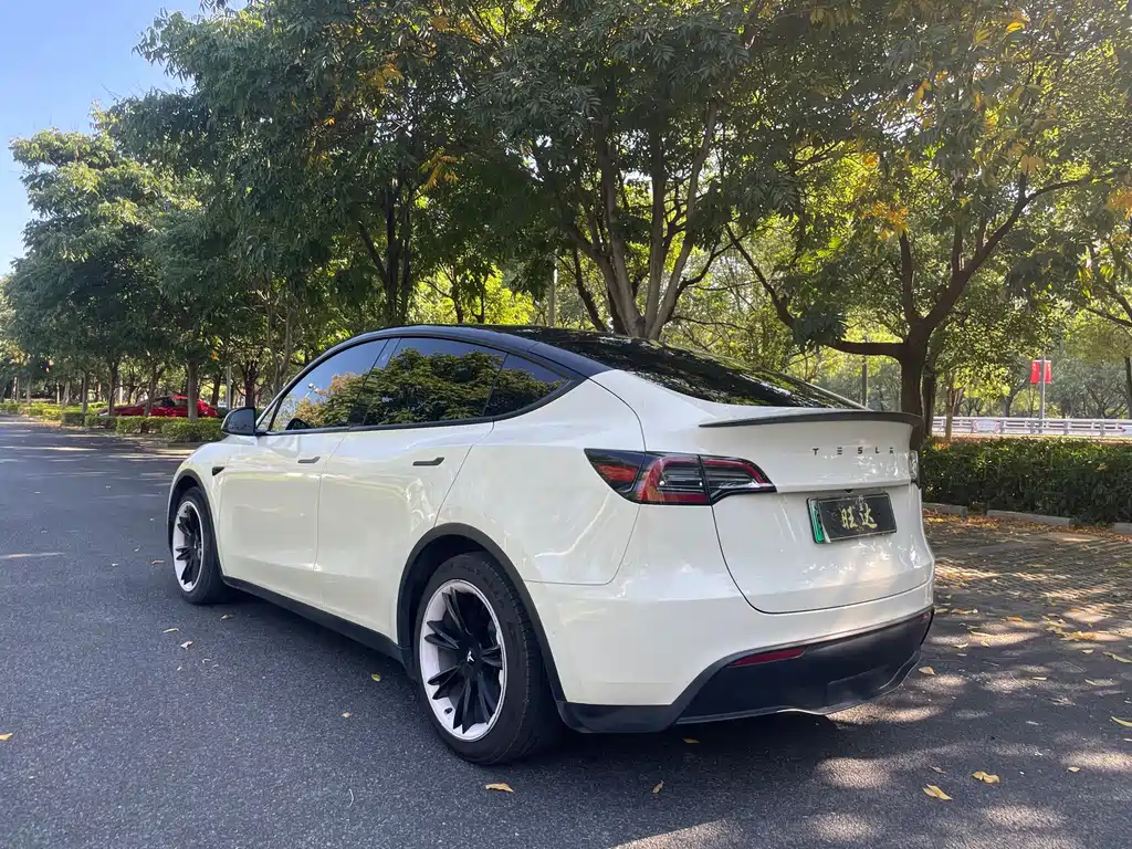 Tesla Model Y — миниатюра 7