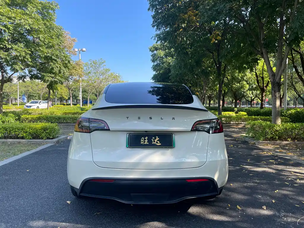 Tesla Model Y — миниатюра 8