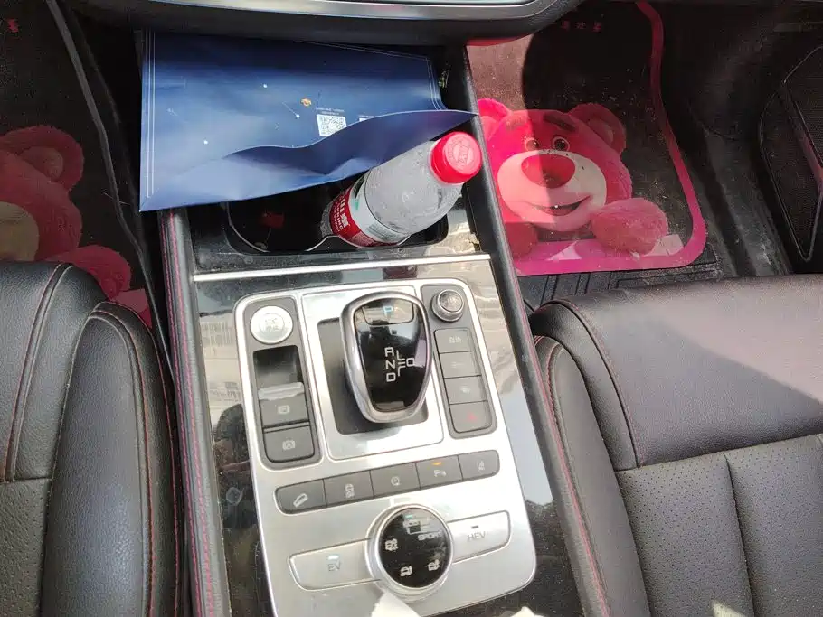 BYD Tang New Energy — миниатюра 16
