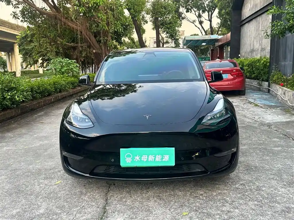 Tesla Model Y — миниатюра 2