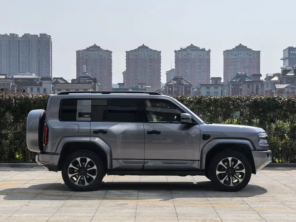 FANG CHENG BAO LEOPARD 5