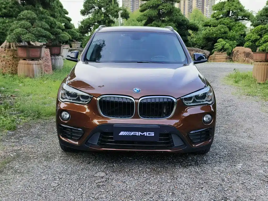 BMW X1 — миниатюра 2