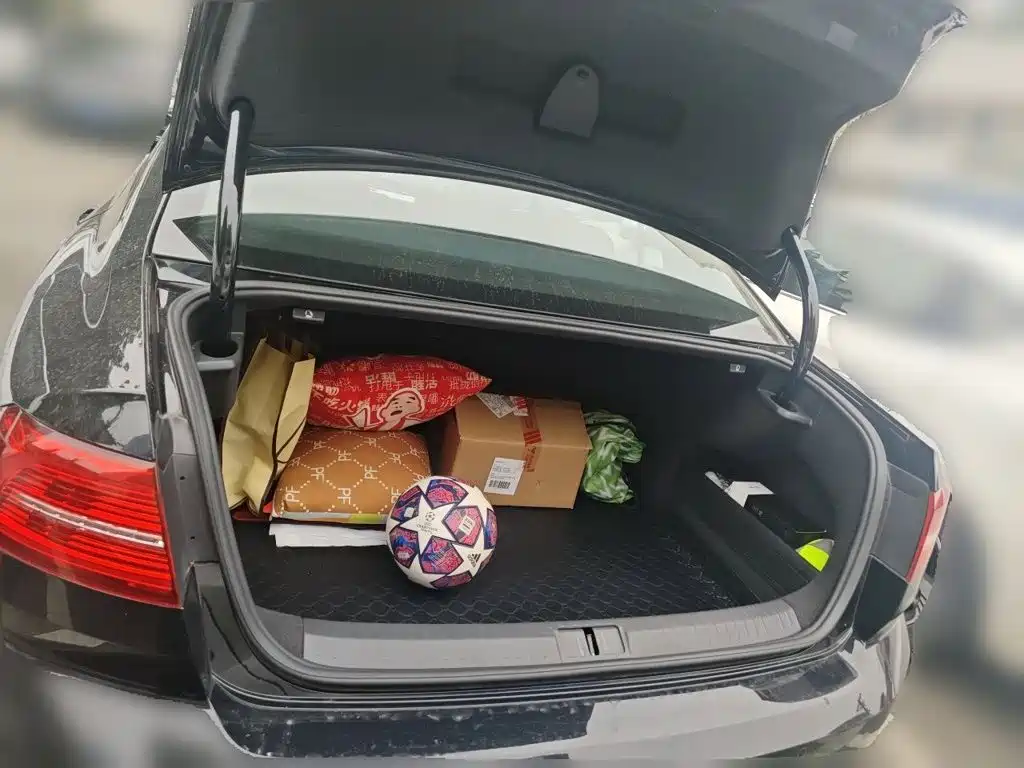 Volkswagen Magotan — миниатюра 15