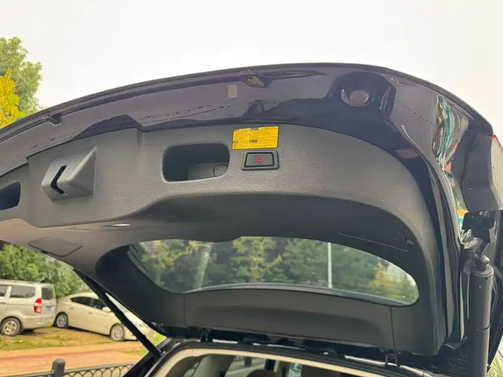 Borgward BX7 — миниатюра 17