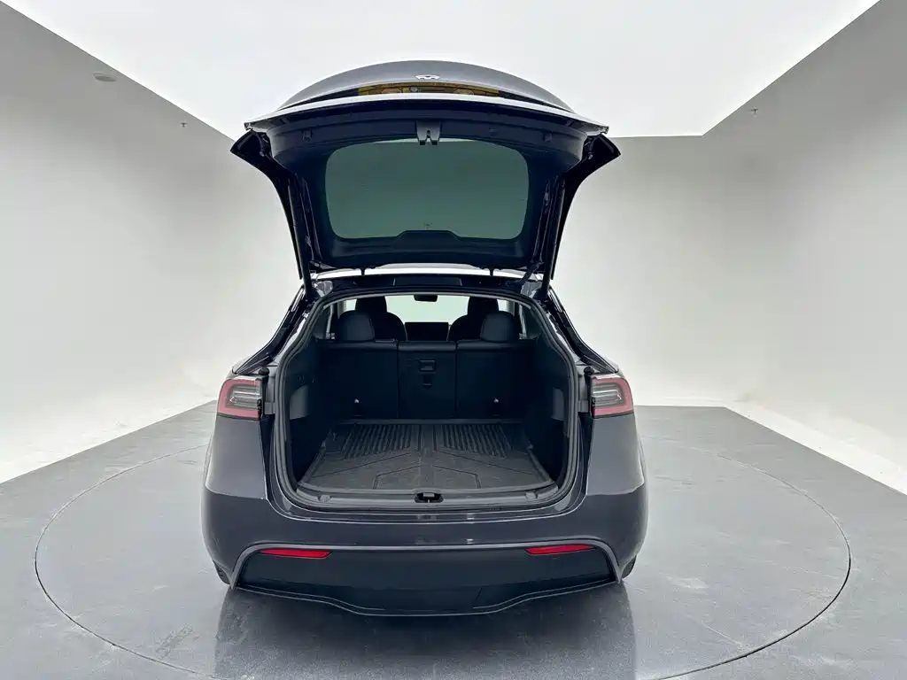 Tesla Model Y — миниатюра 22