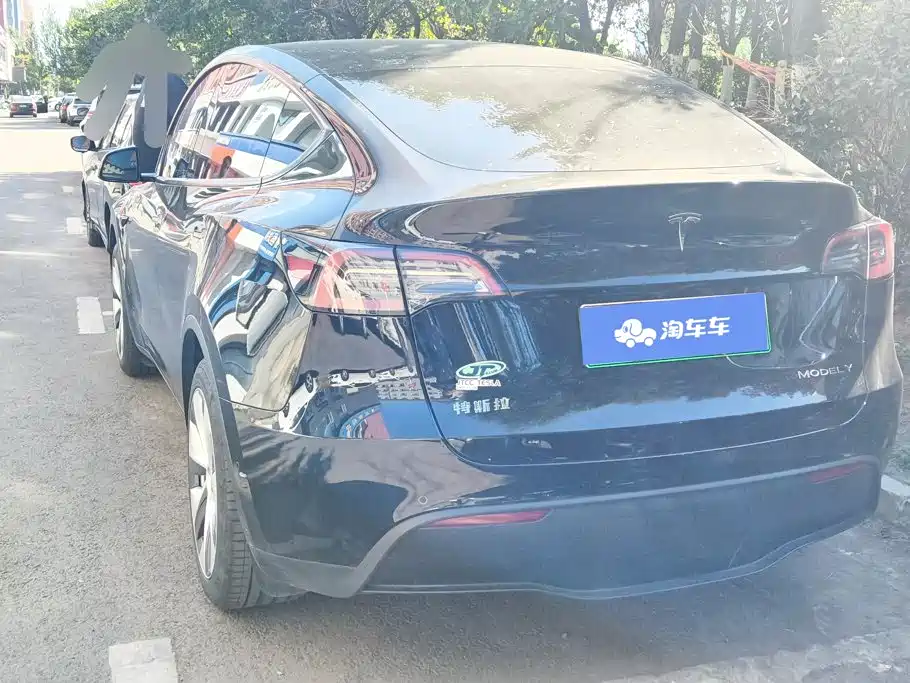 Tesla Model Y — миниатюра 3