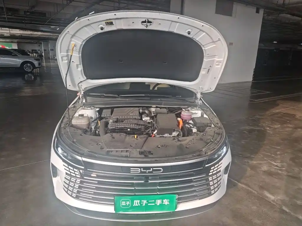 BYD Destroyer 05 — миниатюра 16
