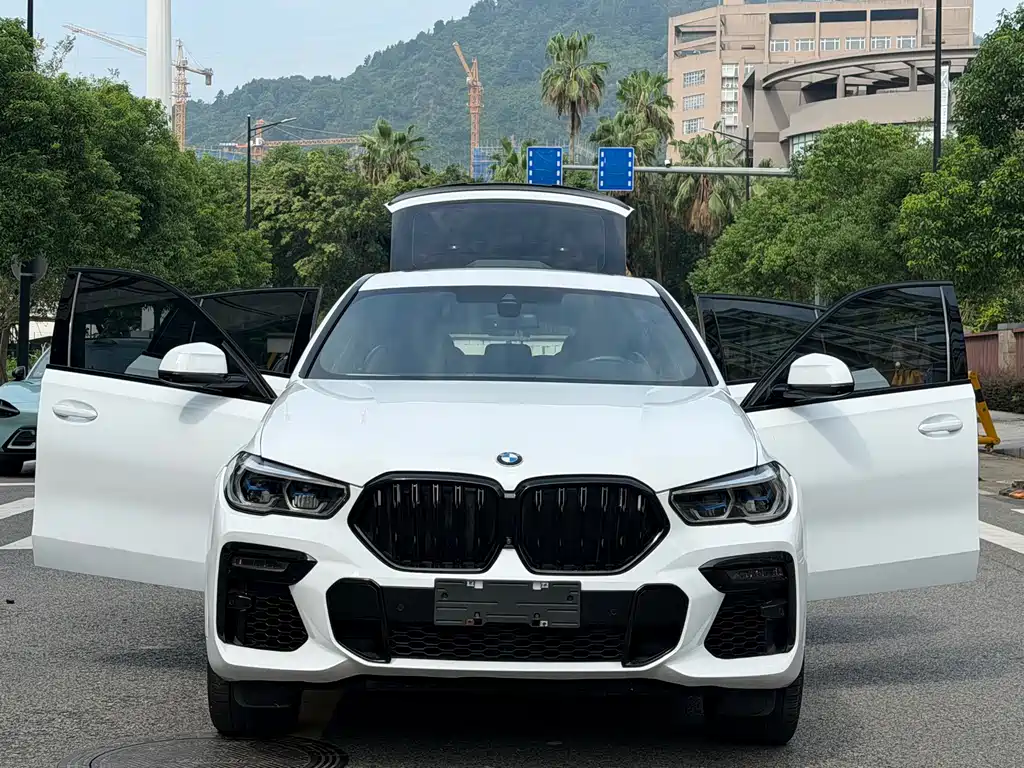 BMW X6 — миниатюра 21