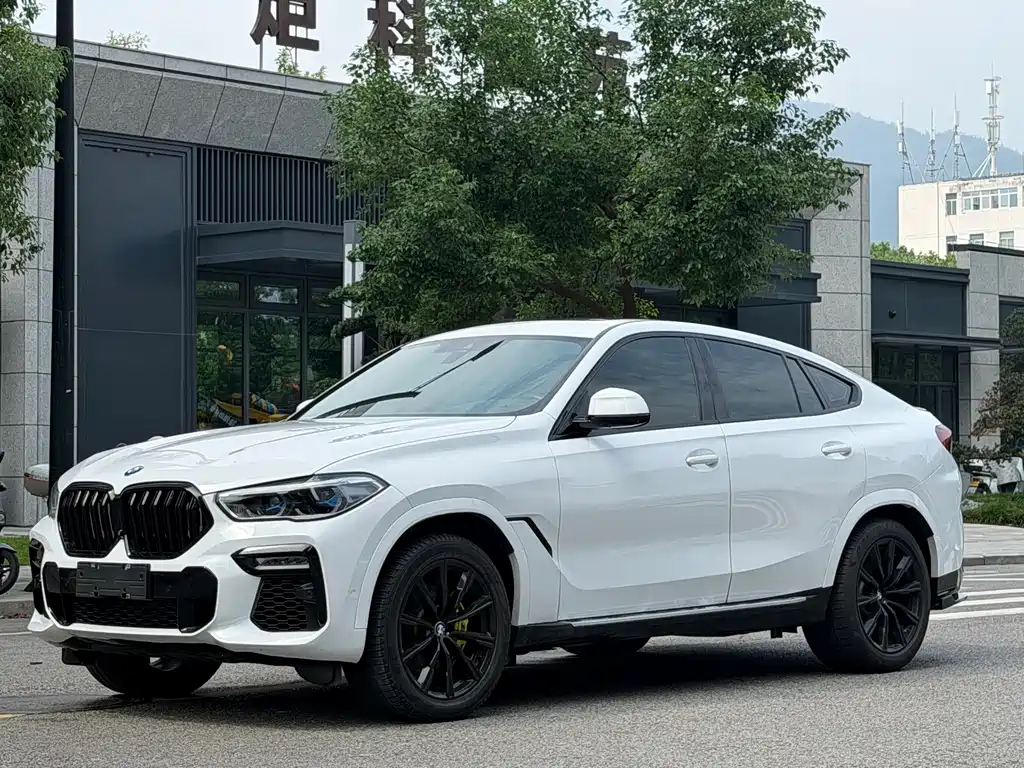 BMW X6 — миниатюра 3