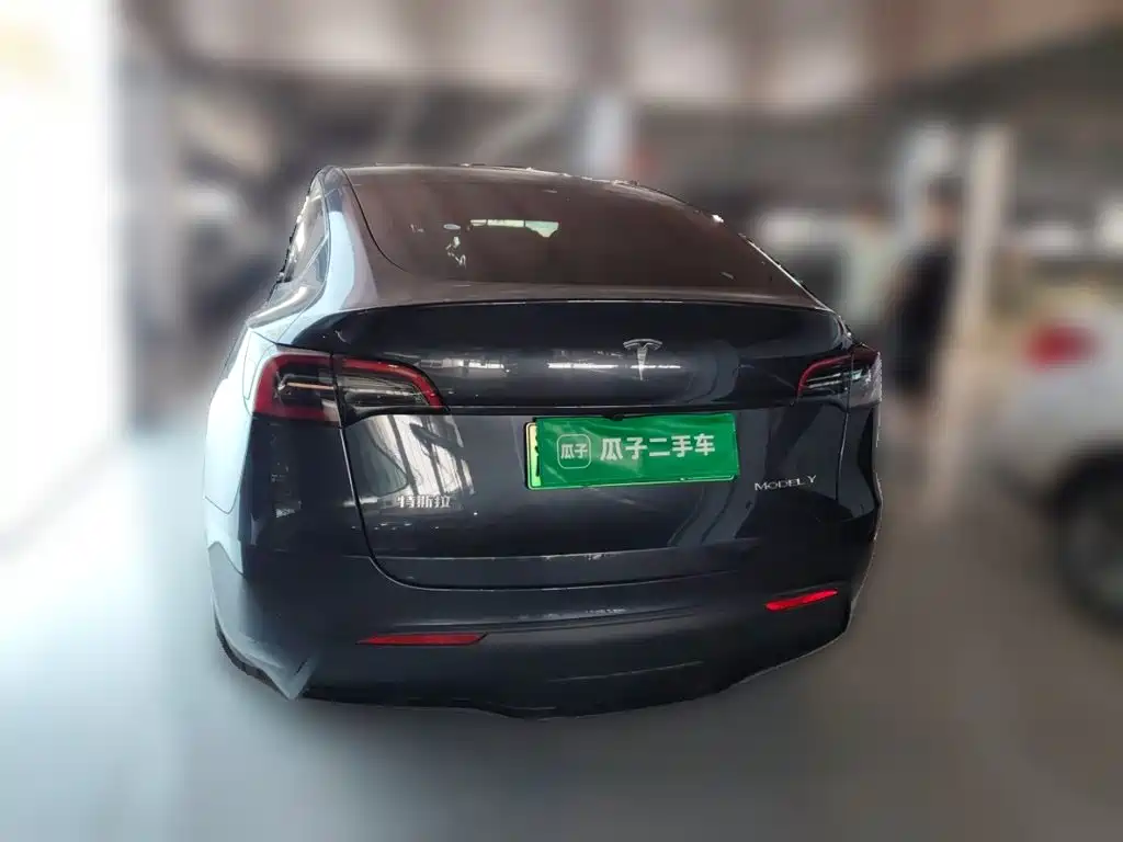 Tesla Model Y — миниатюра 4
