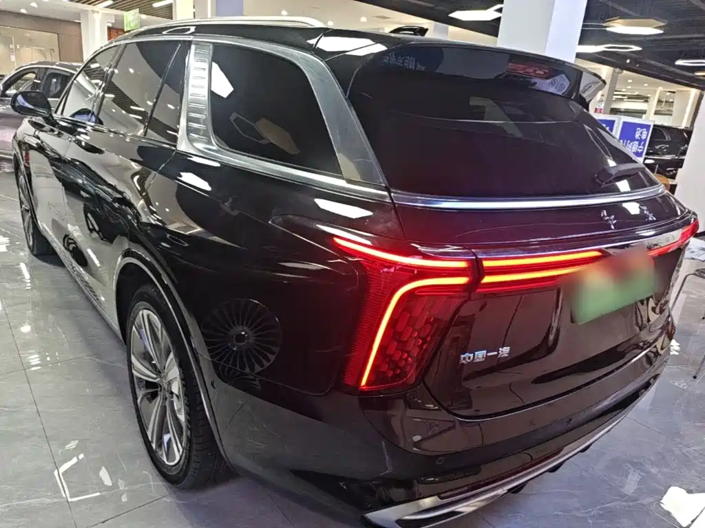 Hongqi Hongqi E-HS9 — миниатюра 5