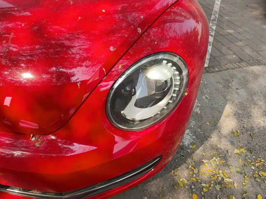 Volkswagen Beetle — миниатюра 5