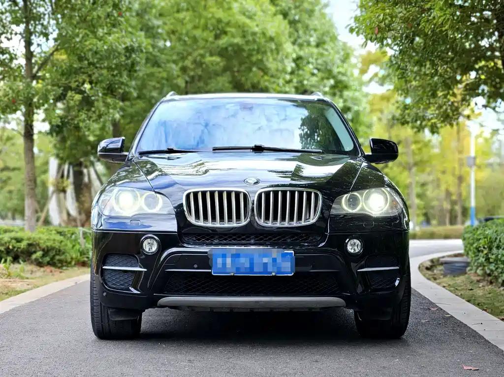 BMW X5 (Import) — миниатюра 2