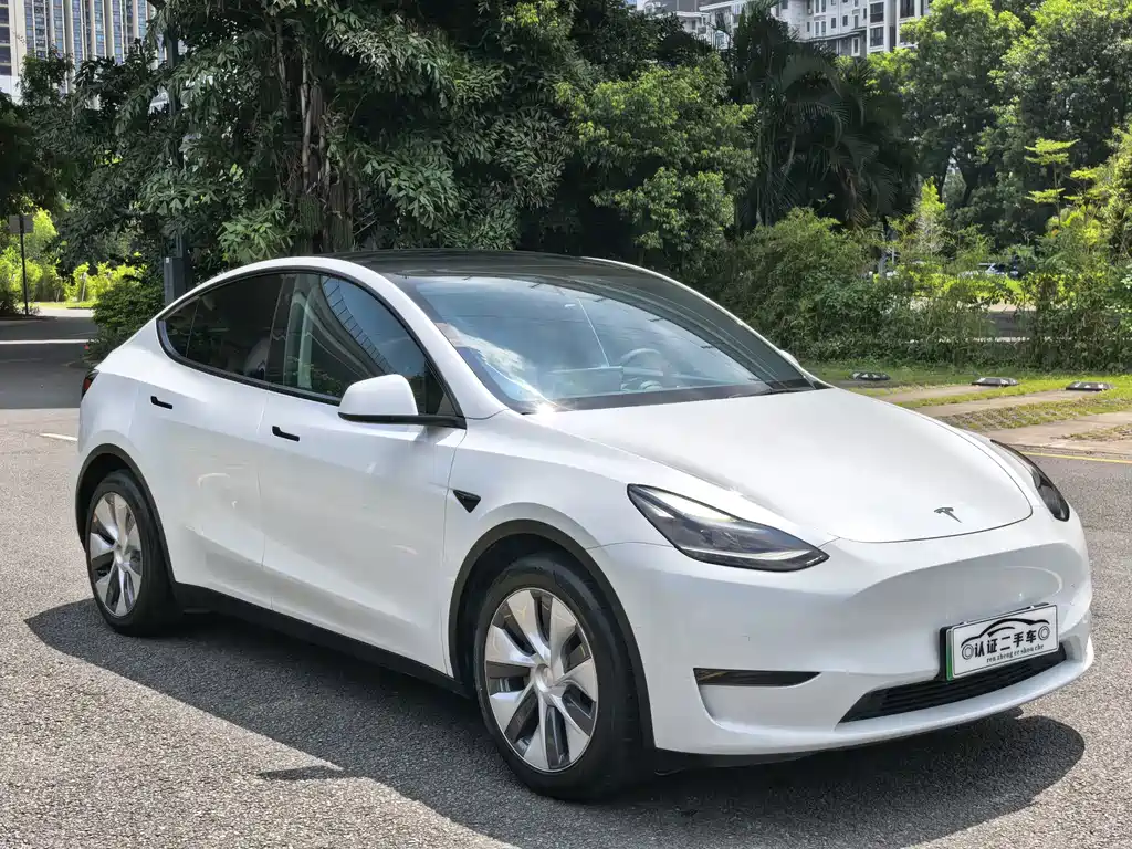 Tesla Model Y — миниатюра 3