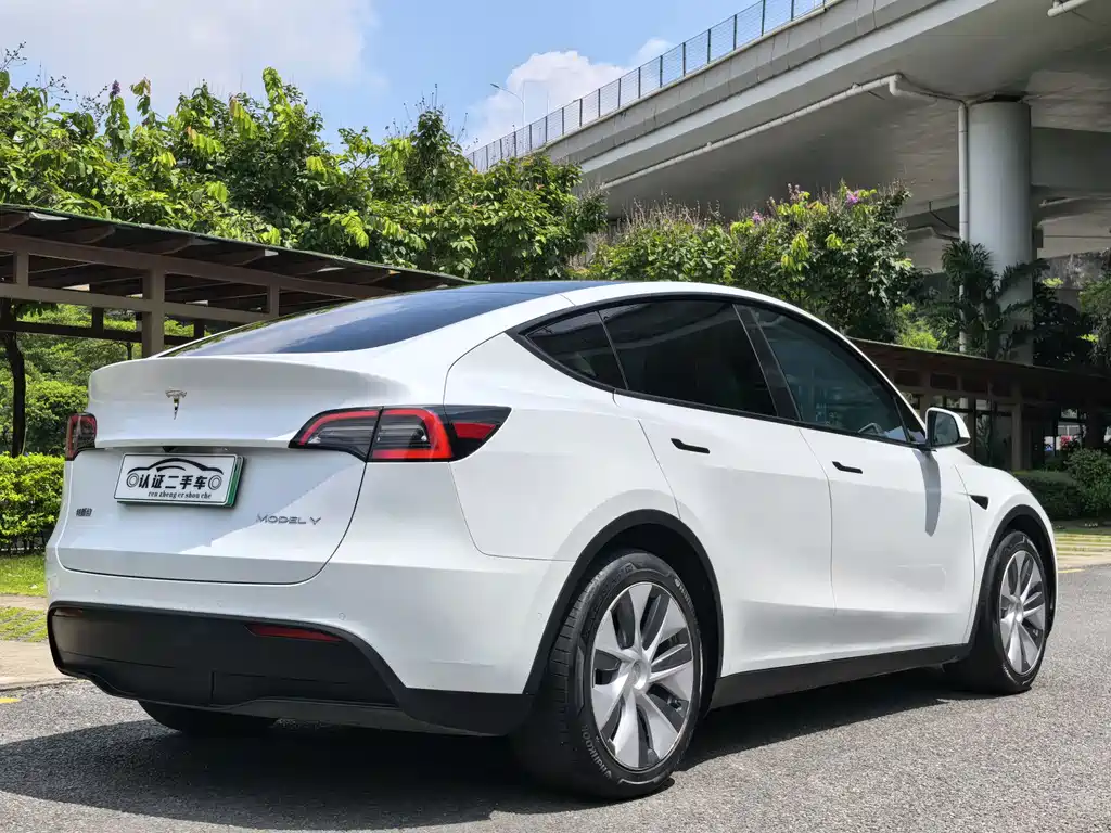 Tesla Model Y — миниатюра 11