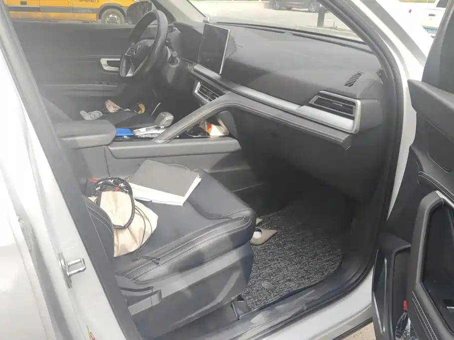 BYD Pro — миниатюра 8