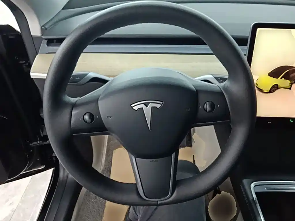 Tesla Model Y — миниатюра 11
