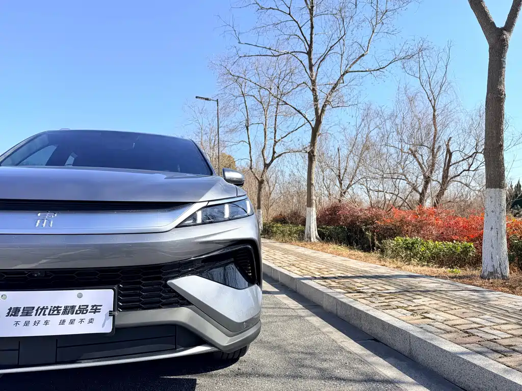 BYD SONGJIANG NEW ENERGY