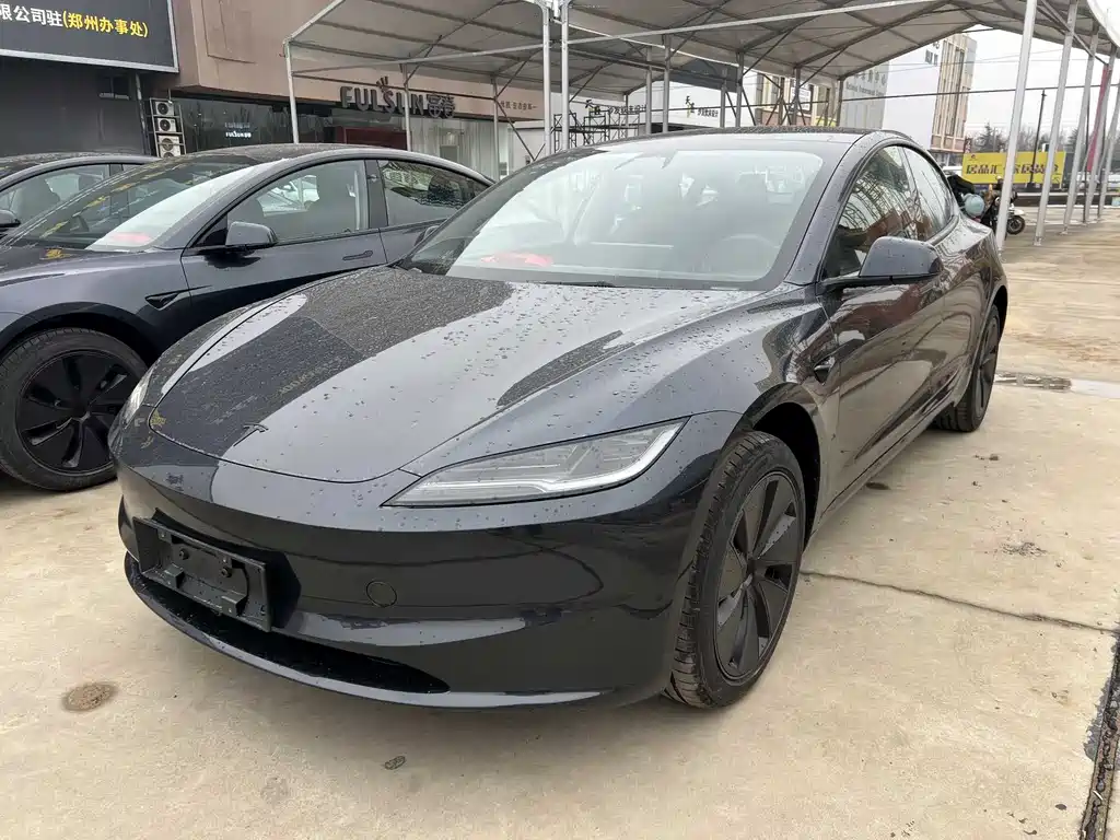 Tesla Model 3 0