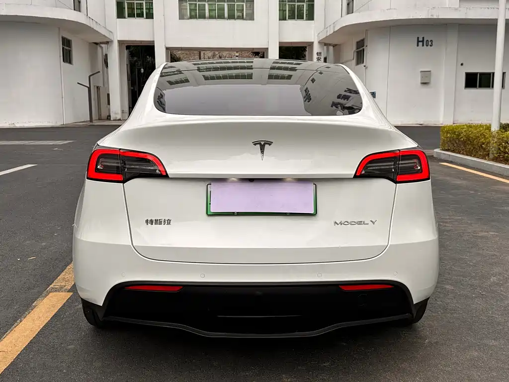 Tesla Model Y — миниатюра 5