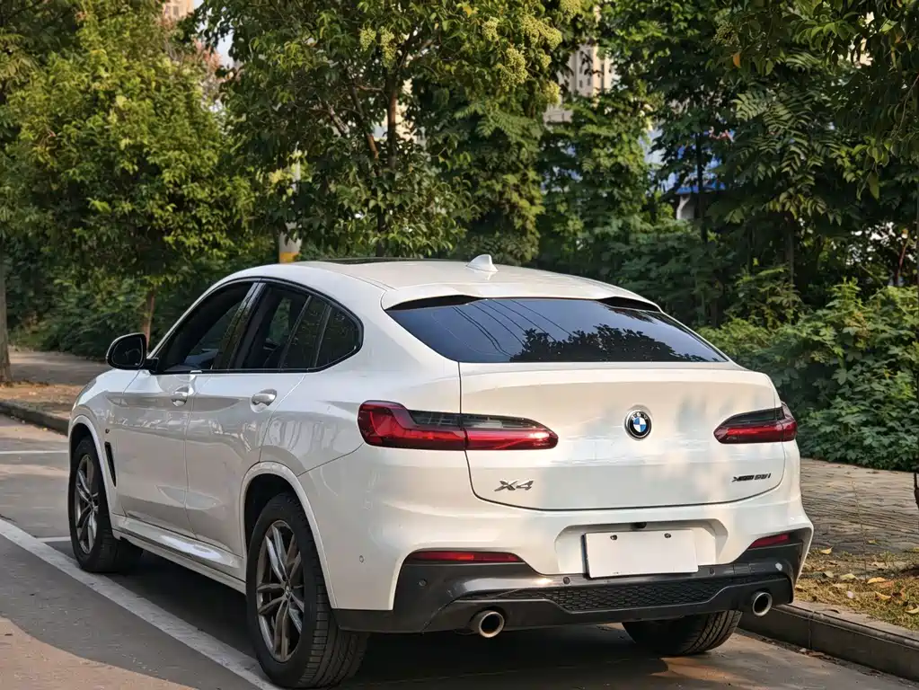 BMW X4 — миниатюра 4