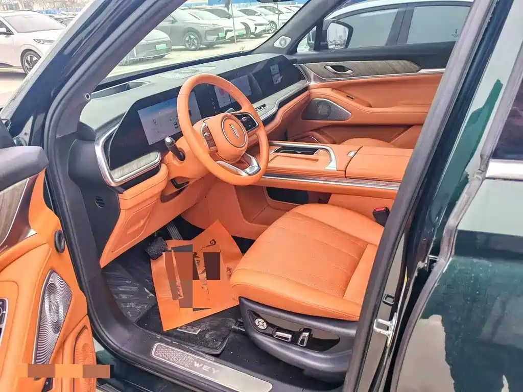 WEI PAI WEI BRAND BLUE MOUNTAIN