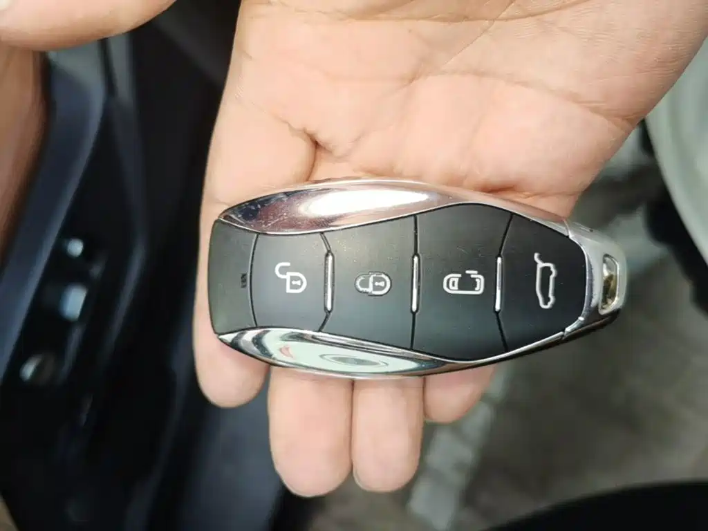 Hongqi Hongqi HQ9 PHEV — миниатюра 9