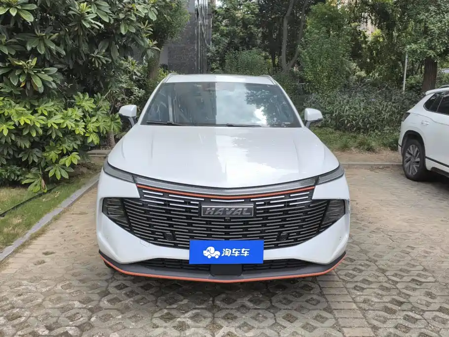 Haval Shenshou — миниатюра 2