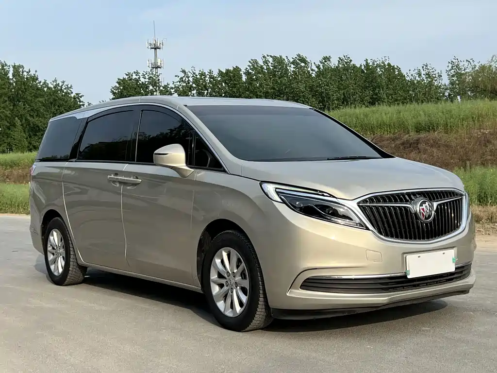 Buick GL8 — миниатюра 3
