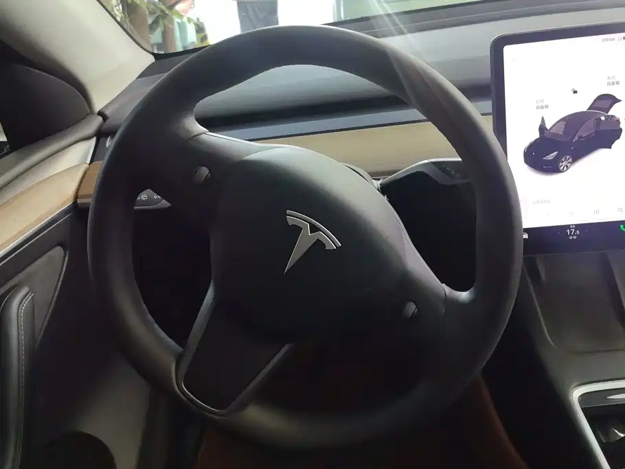 Tesla Model Y — миниатюра 15
