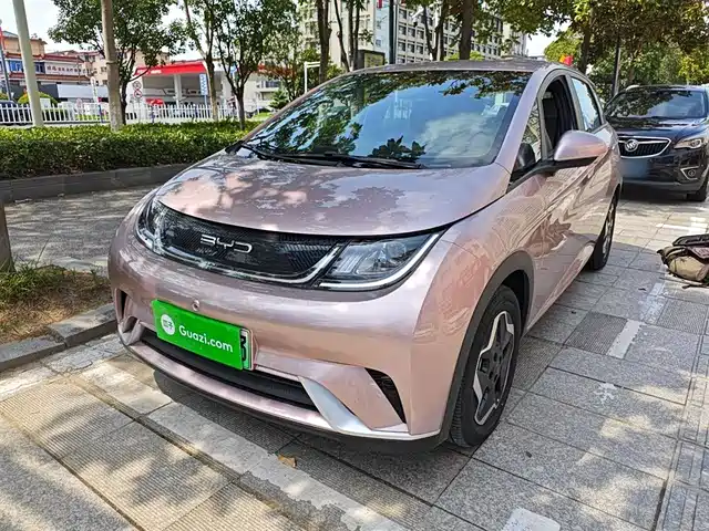 BYD DOLPHIN 2023