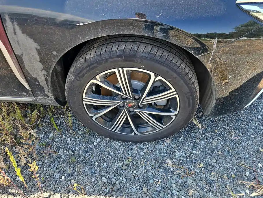 Hongqi Hongqi H5 PHEV — миниатюра 6