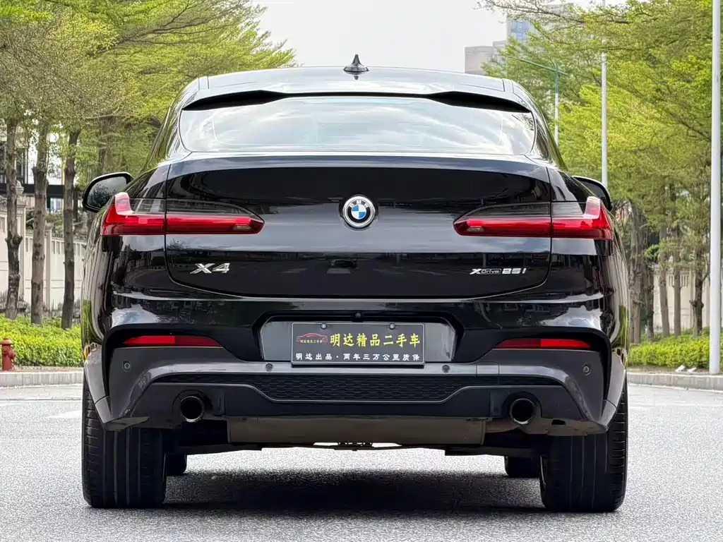 BMW X4 — миниатюра 5