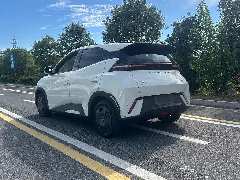 BYD Seagull — миниатюра 10