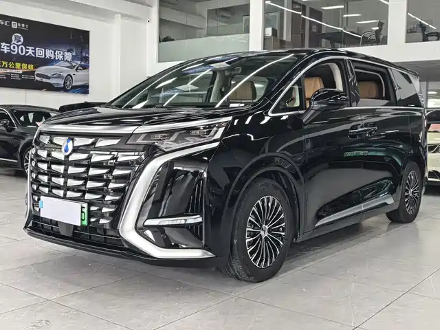 2024 Denza D9