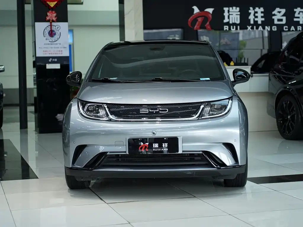 BYD Dolphin — миниатюра 2