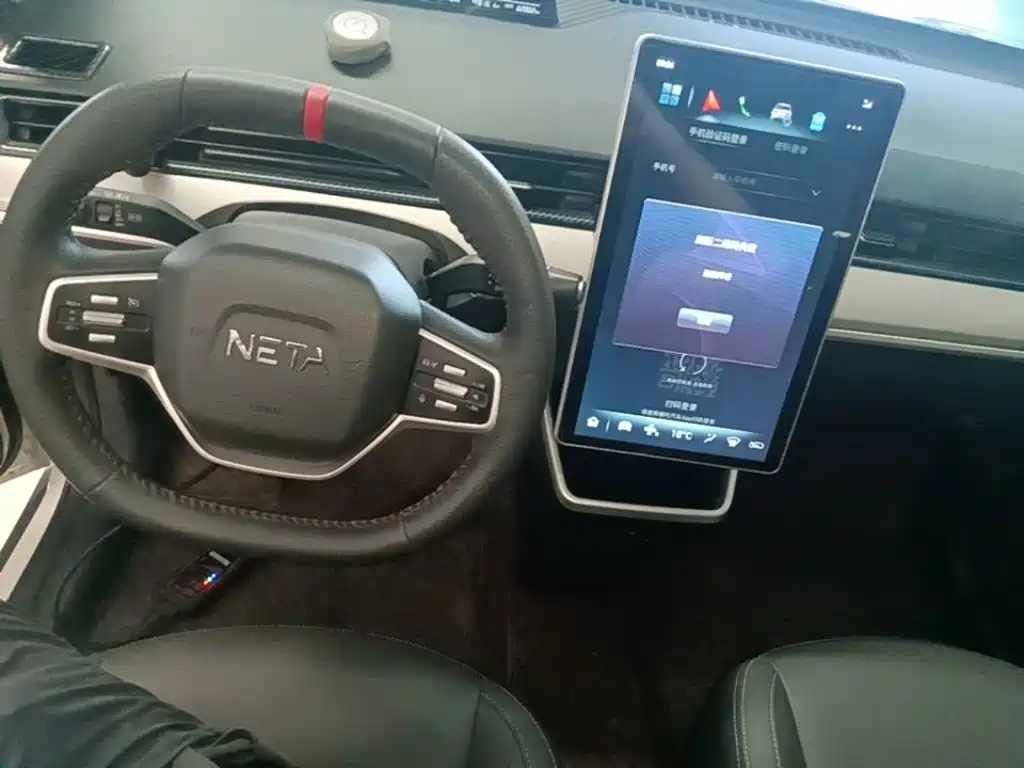 Neta Neta V — миниатюра 10
