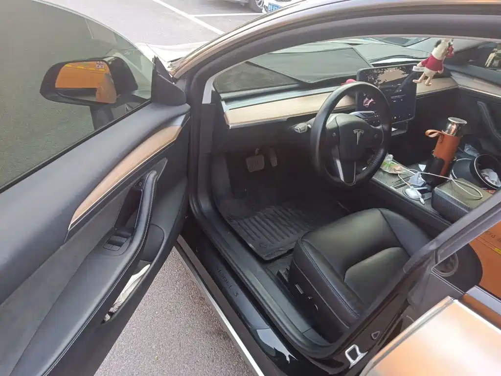 Tesla Model 3 — миниатюра 12