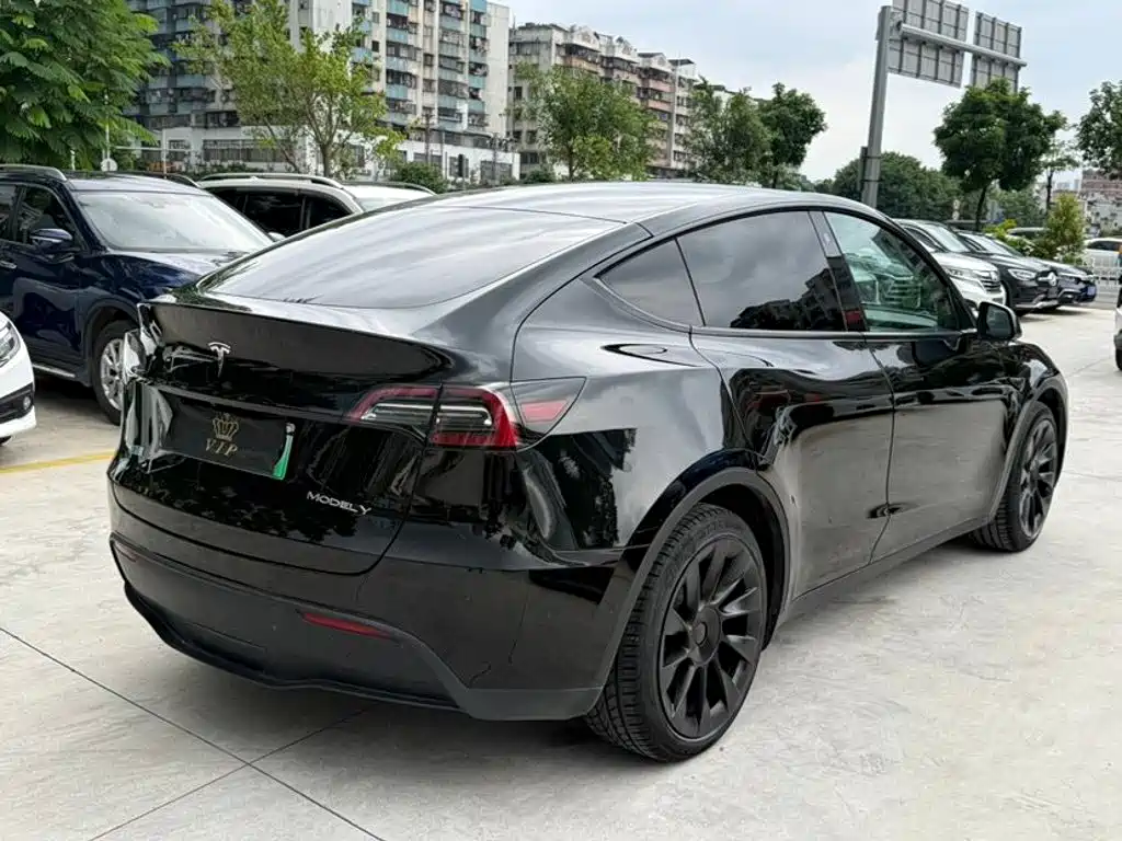 Tesla Model Y — миниатюра 5