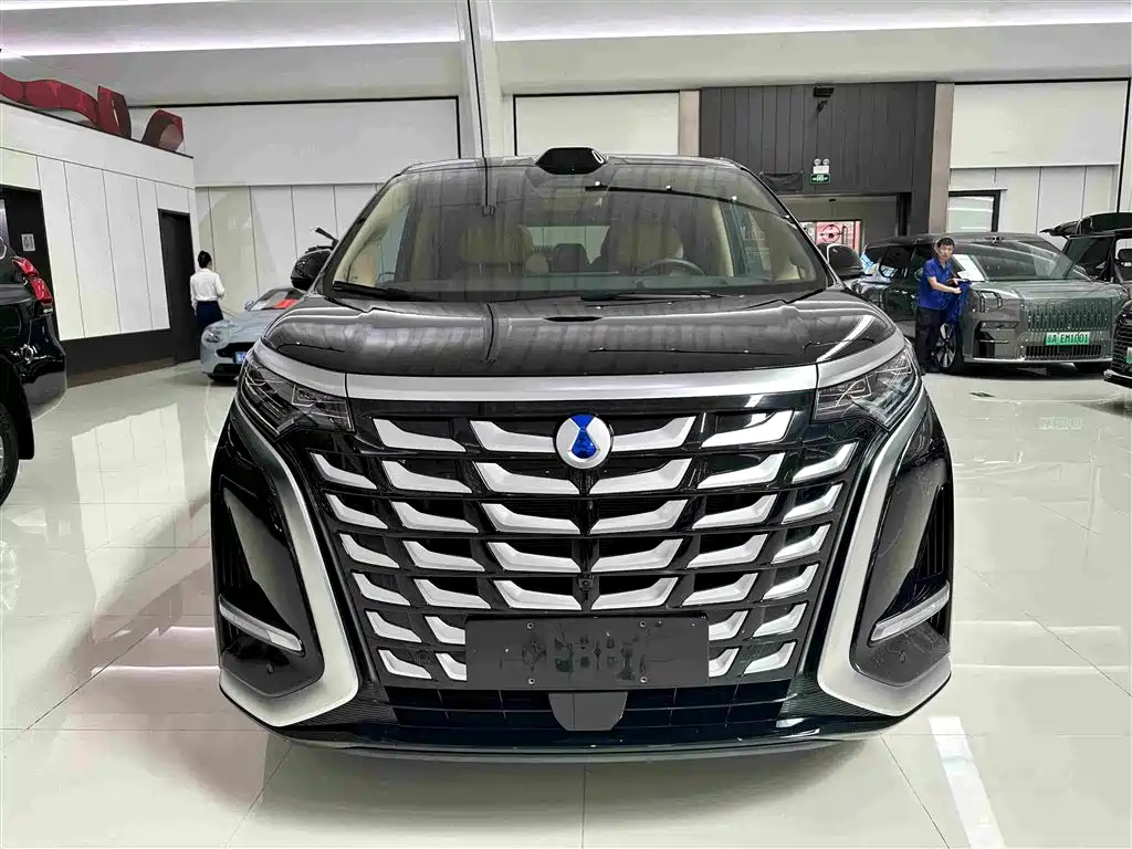 Denza Denza D9 — миниатюра 2