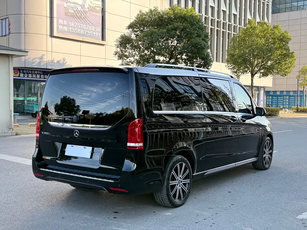 Mercedes-Benz V-Class V 260 L Long Wheelbase Luxury Edition, фото 4