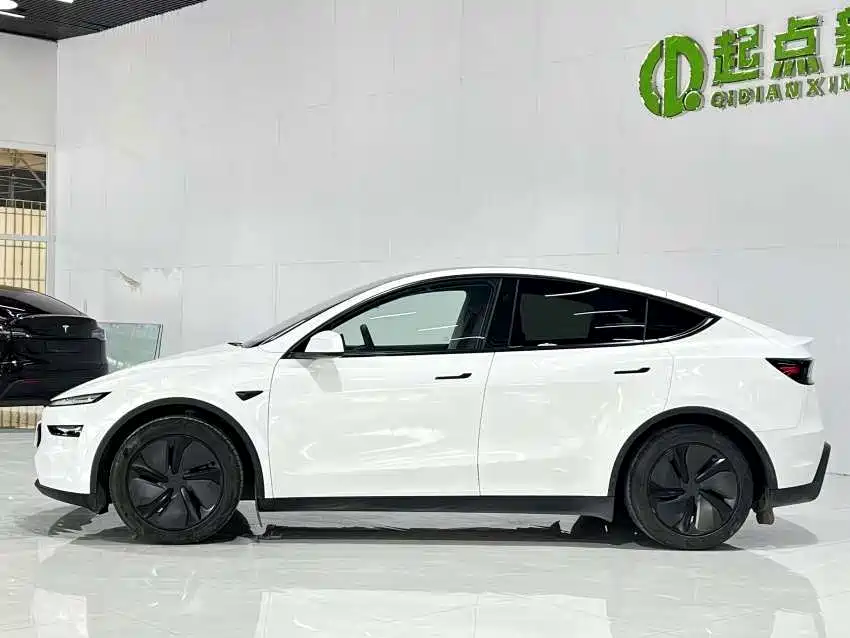Tesla Model Y — миниатюра 2