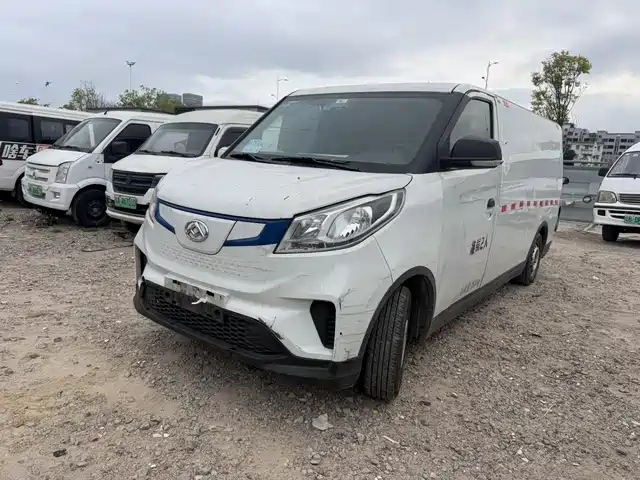 Maxus EV30 2019