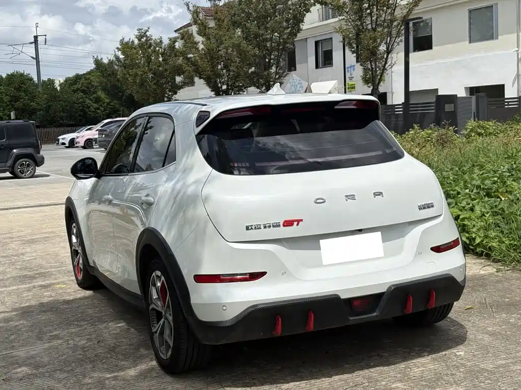 Ora Ora Good Cat GT — миниатюра 14