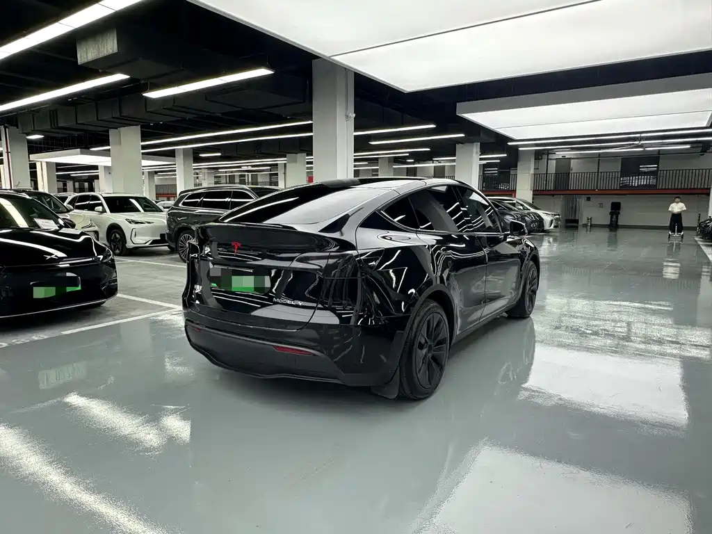 Tesla Model Y — миниатюра 13