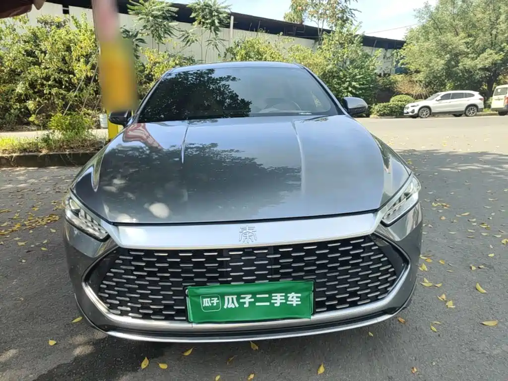 BYD Qin Plus PLUS 2024 DM-i 55KM Lead