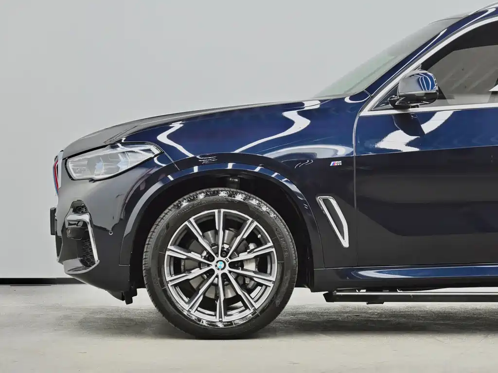 BMW X5 — миниатюра 25